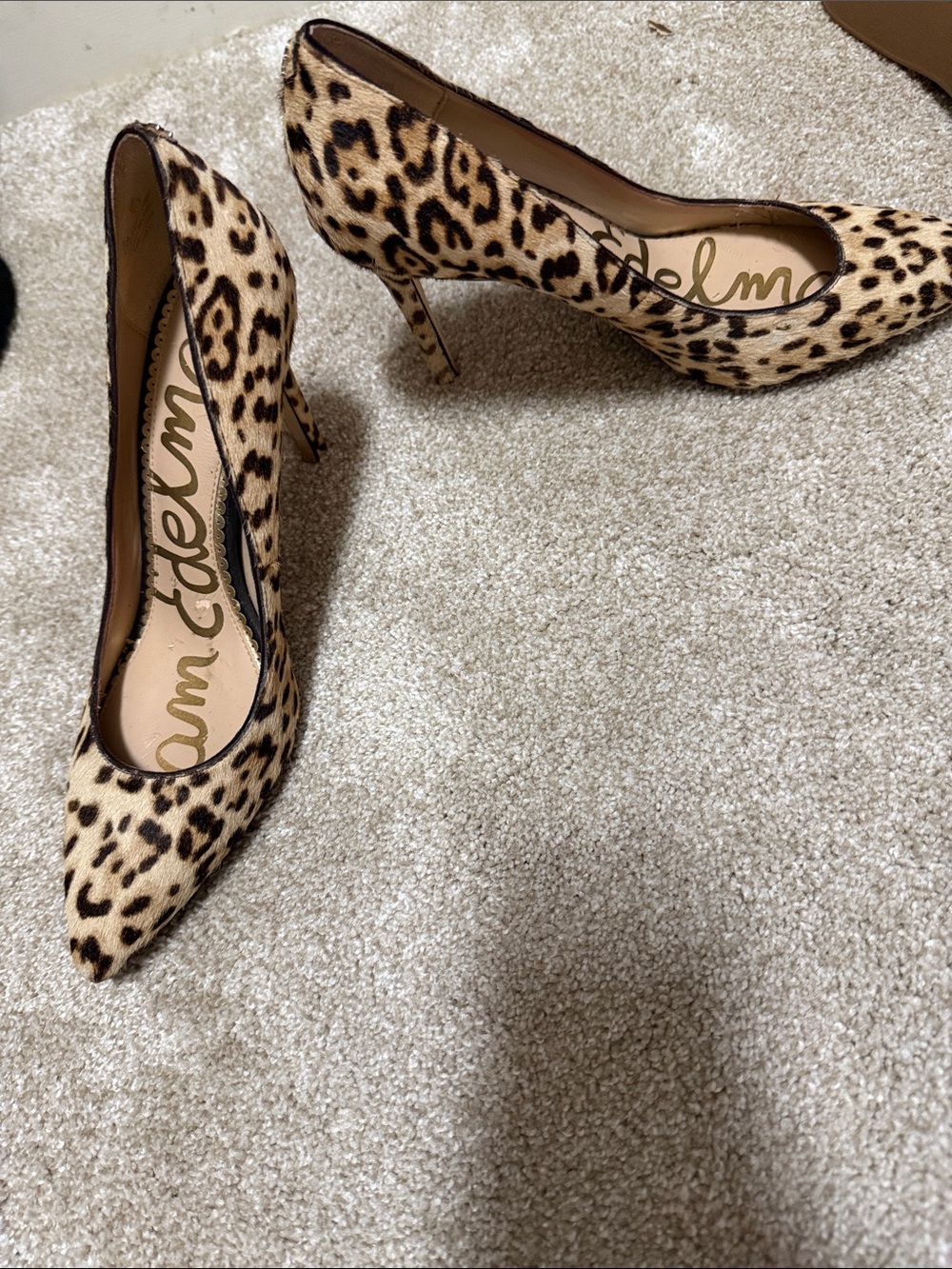 Sam Edelman Leopard-Print Pointed Pumps in Tan and Black